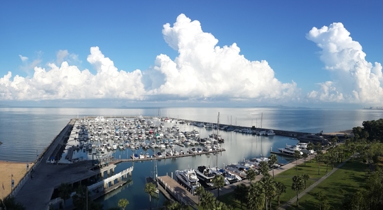 Ocean Marina Yacht Club