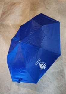 Foldable Umbrella
